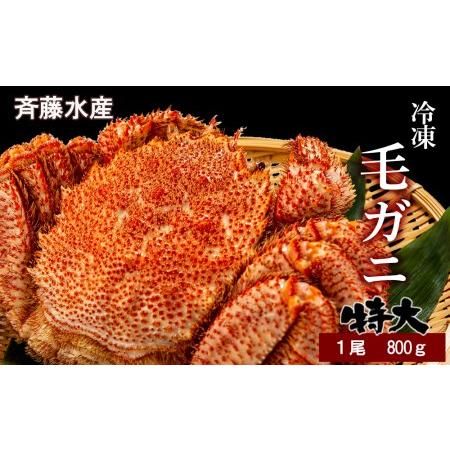 ふるさと納税 特大サイズ！冷凍毛がに約800g×1尾 北海道白老町