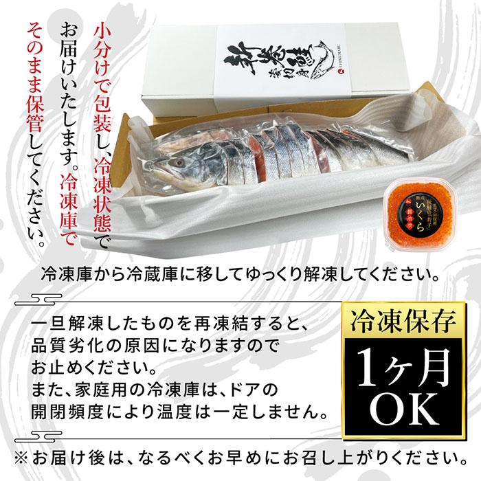 (b026-01)北海道礼文島産 秋鮭姿切身 新巻鮭 2.5kg★今だけいくら100g付き★あすつく ギフト 荒巻鮭