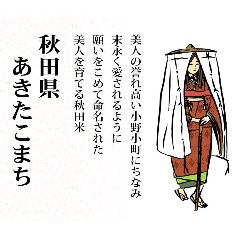 新米 無洗米 10kg 送料無料 あきたこまち 秋田小町 5kg×2袋 秋田県産 令和5年産 米 お米 食品 北海道・沖縄は追加送料