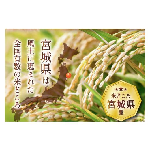 ふるさと納税 宮城県 気仙沼市 定期便 《3ヶ月連続お届け》米 宮城県産 ひとめぼれ 10kg(5kg×2袋) 計30kg   気仙沼米穀商業協同組合   宮城県 気仙沼市 [2056…