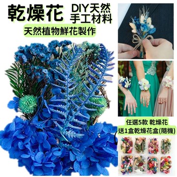【A-ONE】天然乾燥花盒 水藍色 乾燥花 永生花 不凋花 DIY花材B04 矢車菊藍_廠商直送