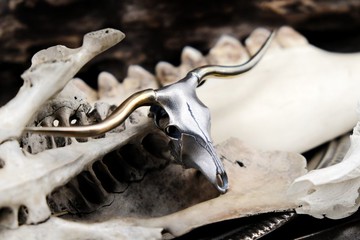 【山骸紀】鳴之徊-德州長角牛頭骨項鍊