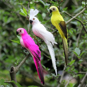 25CM仿真羽毛鸚鵡園藝森系樹枝爪子鐵絲捆綁家居田園裝飾金剛鸚鵡