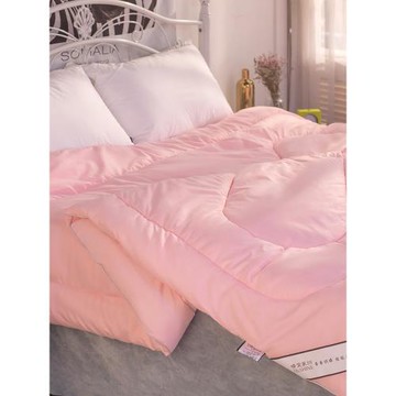 純手工蠶絲被冬被加厚保暖冬季蠶絲被舒適透氣絲綿被四季桑蠶絲被