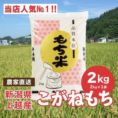 ふるさと納税 上越市 ブランドもち米「こがねもち」令和5年産 新潟県産