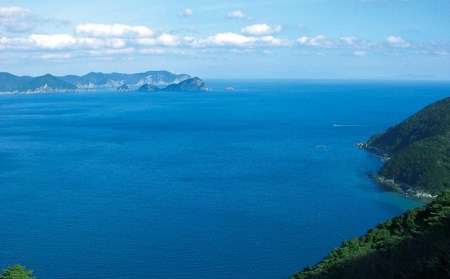 さいきの海の幸Aセット (6種) 鯵 カマス ブリカマ うるめいわし ちりめん 魚 干物 海産物 加工食品 セット 詰め合わせ 大分県 佐伯市