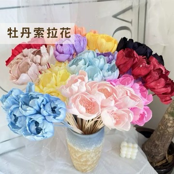 現貨🔺有柄 牡丹索拉花｜通草花 索拉花 Sola Flower｜擴香花材 天然植物花 手作材料 擴香花 新年佈置 乾燥花