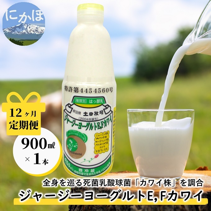 毎月お届け！ジャージー ヨーグルト(E・Fカワイ)900ml×1本 12ヶ月定期便(飲む ヨーグルト)