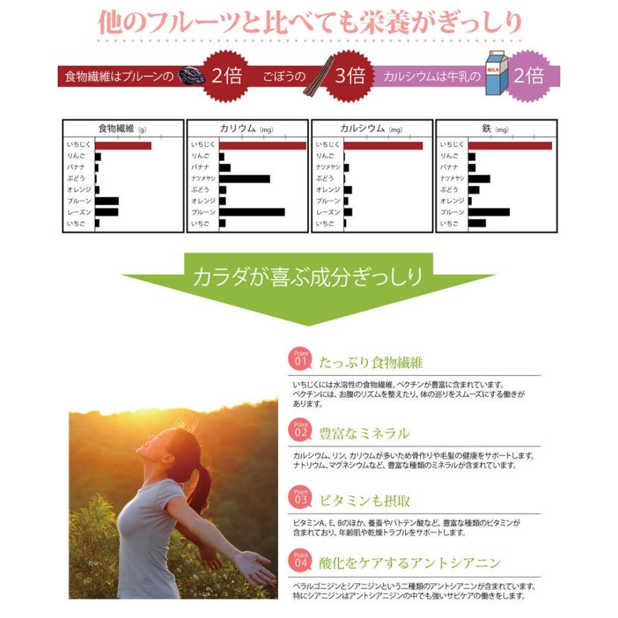 いちじく 無添加・農薬不使用　イラン産　ドライイチジク　100g