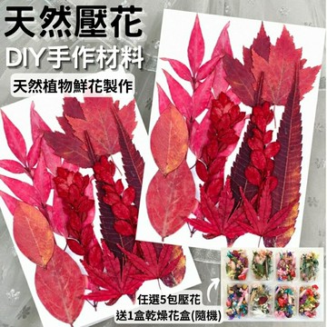 【A-ONE】綜合乾燥花包 永生花材 可做蠟燭 浮油花 壓花 卡片 教學花材包 乾燥花材包