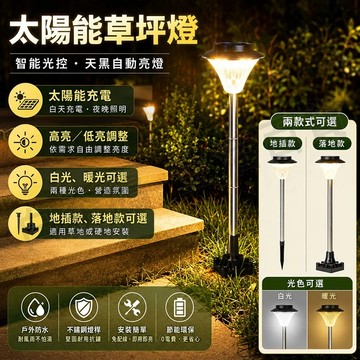 台灣現貨🌞太陽能草坪燈 39LED 太陽能地插草坪燈 插地燈 庭院燈 太陽能燈 戶外草地燈 花園燈 投射燈 照樹燈