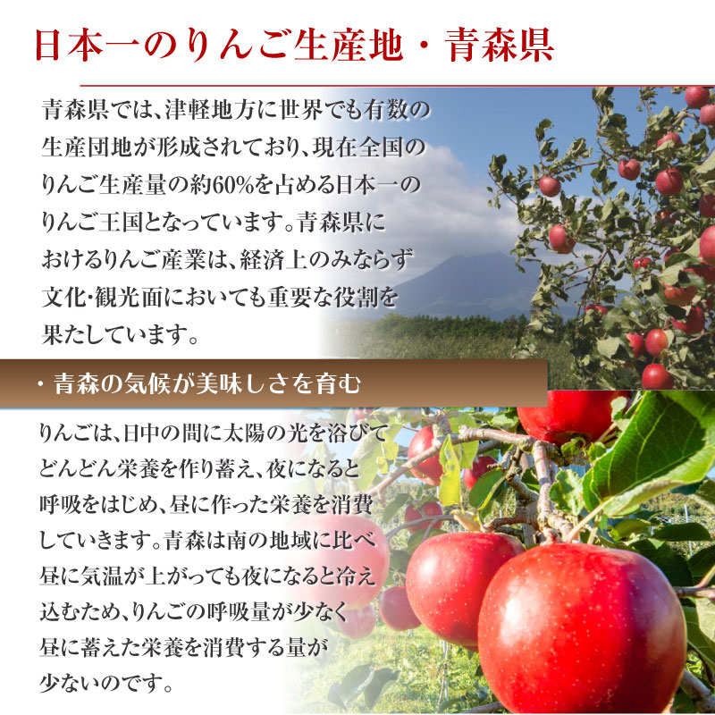 [予約 10月10日-11月30日の納品] 紅玉 約5kg 18-23玉 中小玉 青森県産 りんご こうぎょく アップルパイ 加工用 洋菓子 果実専用箱