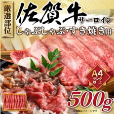 艶さし!佐賀牛サーロインしゃぶすき焼き用　500g(唐津市)全6回