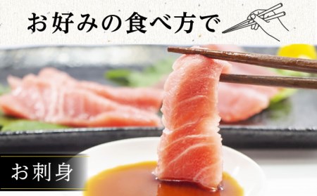 長崎県産 本マグロ 大トロ(皮付き) 約600g    まぐろ マグロ 大トロ 鮪 まぐろ マグロ さしみ 刺身 刺し身 マグロ まぐろ 大トロ セット 冷凍 まぐろ マグロ 大トロ 定期便 [BAK028]