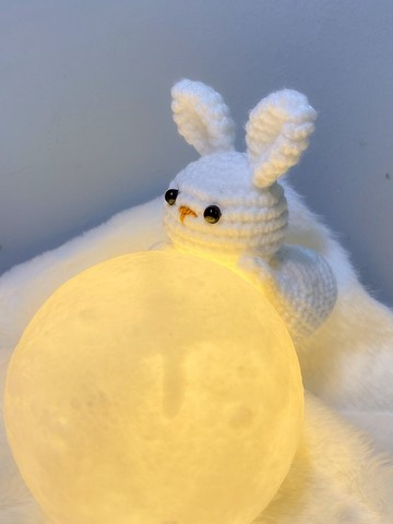 【成品】中秋節限定 | 鉤織中秋裸兔奔月 裝飾燈