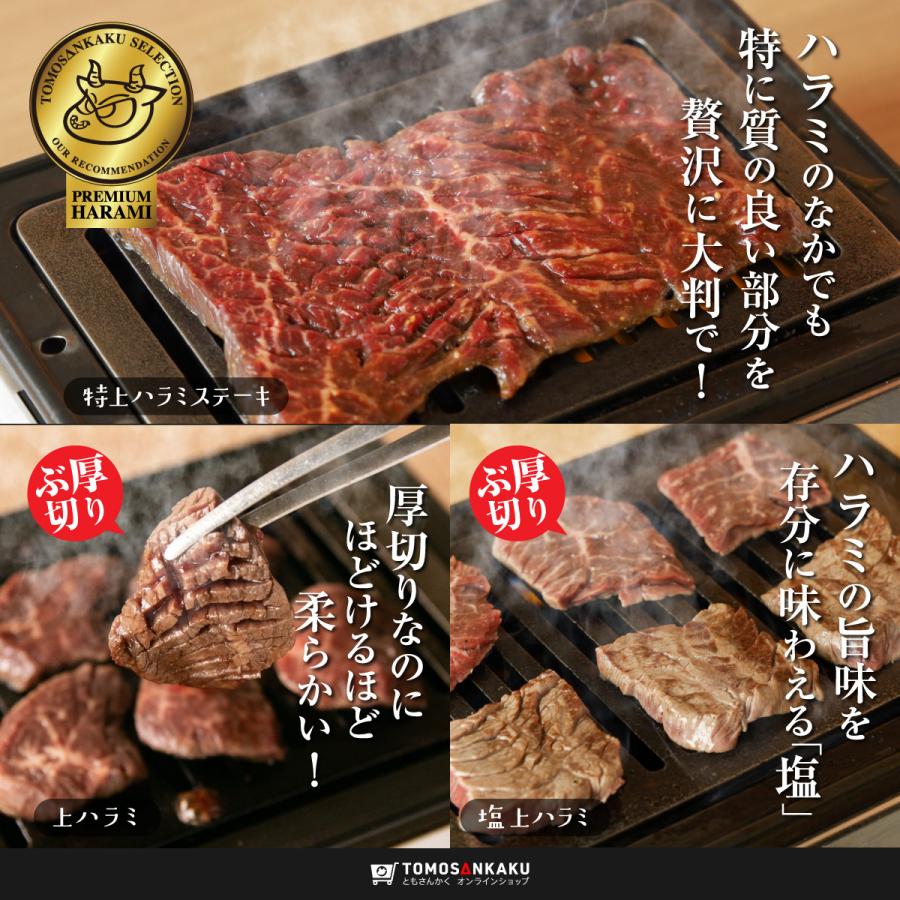 牛肉 はらみ 焼肉 究極ハラミ セット（4〜6人前 1kg超）味付き タレ付き TVで紹介 BBQ ギフト 送料無料