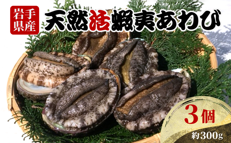 岩手県産　天然活あわび3個（約300g） 三陸産 蝦夷あわび [56500443_1]