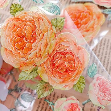 PS302奧斯丁之魂_Austin Soul / 紙膠帶 Masking Tape