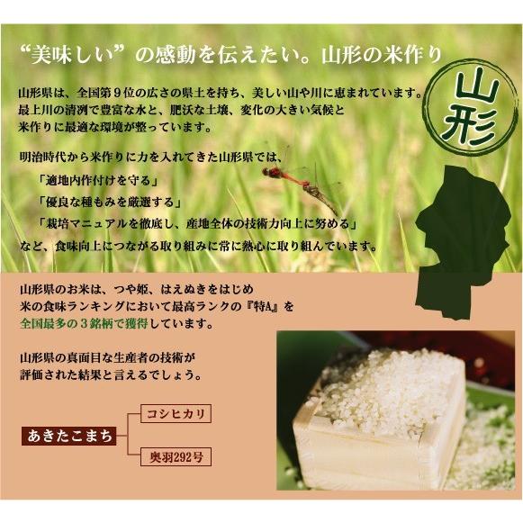 新米 無洗米 2kg  あきたこまち  山形県産 令和5年産 送料別 北海道沖縄へのお届けは送料1520円