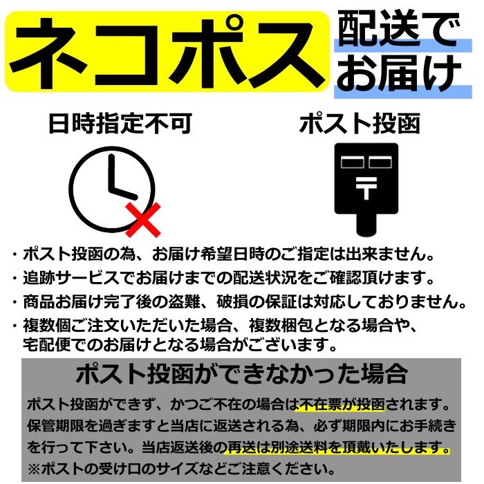 鮭とば 170g 皮なし やわらか おつまみ 酒のつまみ 珍味 さけとば 北海道産 国産 天然 秋鮭 送料無料 訳あり 簡易包装 北海道 お土産 人気