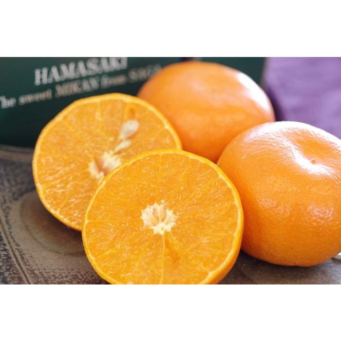 柑橘はまさき通販 佐賀オリジナルの麗紅柑を販売取寄。約4玉〜約6玉 佐賀県産
