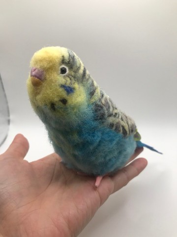 虎皮鸚鵡微擬真