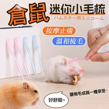 小寵用品 倉鼠迷你小梳子 小寵小梳子 防止毛髮打結 去浮毛開結 按摩止癢 梳毛 倉鼠 蜜袋鼯 花枝鼠