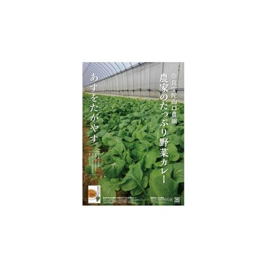 ふるさと納税 奈良県 宇陀市 農家のたっぷり野菜カレー　３０個／　有機野菜　オーガニック　伝統野菜　レトルトカレー　奈良県　宇陀市