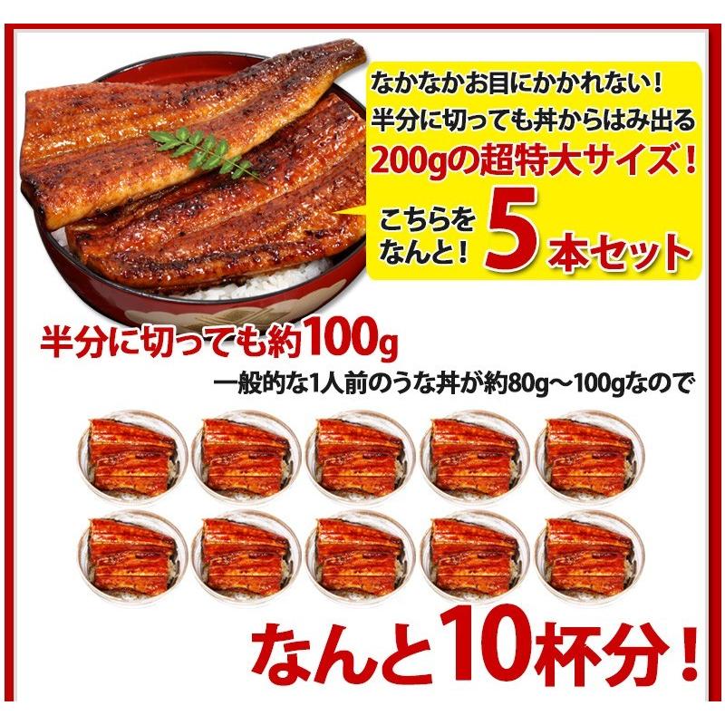 うなぎ 蒲焼き 国産 至福の福袋 送料無料 鰻 ウナギ