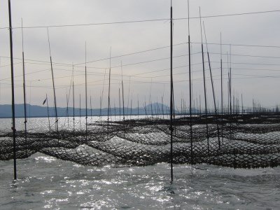 大容量 焼き海苔 佐賀県産 全形 有明海苔 100枚 C104