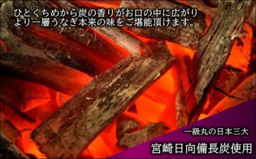 天保年間創業 祖川真兵衛総本家鶴屋 炭火焼うなぎ レンジで手軽！木箱に入った極・鰻重2人前