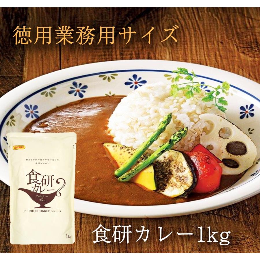 食研カレー 日本食研 1kg×12袋 欧風ビーフカレー ケース販売 業務用 大容量 レトルト 徳用