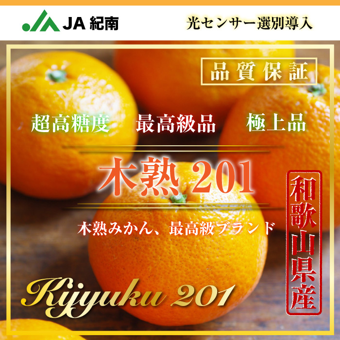 [当日発送可] 木熟みかん 木熟201 紀南木熟みかん 糖度14度 5kg プレミアムみかん 高糖度 和歌山県産 JA紀南 お歳暮 ギフト 贈り物 産地箱