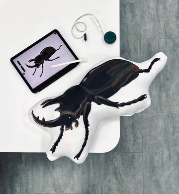 BLR 客製化 造型 親膚抱枕 光速訂製 三天出貨