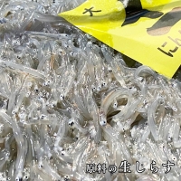 釜揚げしらす しらす干し 交互 定期便 (1kg×12か月) 天然 ふっくら 大洗 名産 しらす シラス 魚 さかな 魚介 離乳食