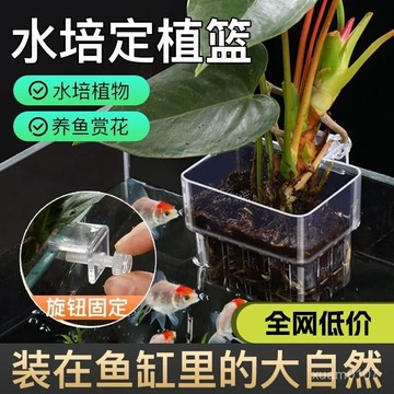 臺灣✨免運🔥水培籃鏤空壁掛式透明水培籃加厚綠植魚缸家用定植籃養護優選推薦 1ARZ