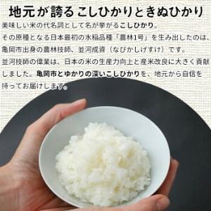 ふるさと納税 訳あり 定期便 新米 10kg （こしひかり 5kg ・ きぬひかり 5kg） ×6ヶ月 京都丹波米 白米 6回定期便 コシヒカリ・キヌヒ.. 京都府亀岡市