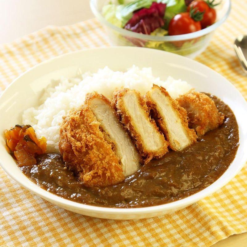 カレー レトルトカレー 中辛 ビーフカレー 食研カレー 200g 10食セット 北国からの贈り物