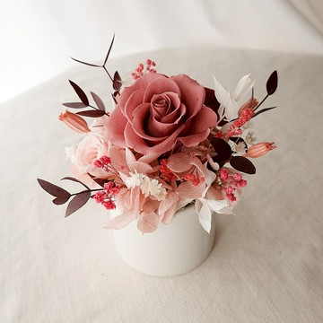 小型永生花盆花-豆沙粉