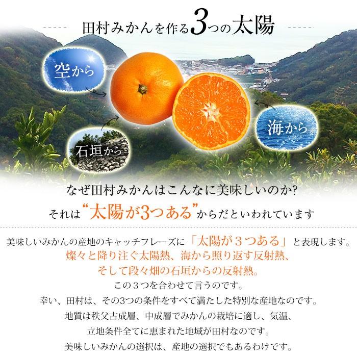 みかん 和歌山県産 田村みかん 赤秀 約5kg 小サイズ 70〜90個