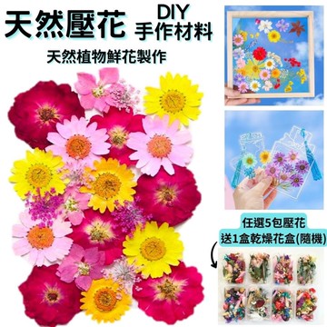 【A-ONE】天然乾燥花材包 小菊花櫻花 壓花書籤 拍攝道具 花藝材料包 標準包-五顏六色 BB13_廠商直送