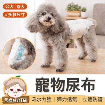 [多款尺寸] 狗狗尿布 寵物尿布 狗尿布 狗狗尿布墊 狗尿布墊 禮貌帶 公狗禮貌帶 寵物尿褲 狗狗生理褲【阿嬤a柑仔店】