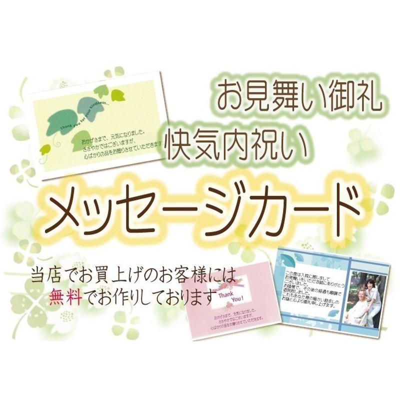 無料 快気内祝い お見舞い御礼用メッセージカード 当店でお買上のお客様限定 ご購入数分のみ 通販 Lineポイント最大0 5 Get Lineショッピング