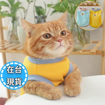 🔥在台秒出 毛老大🔥寵物衣服 貓狗套頭背心 寵物禦寒服飾 寵物背心 小熊背心 馬卡龍顏色 狗衣服 貓衣服