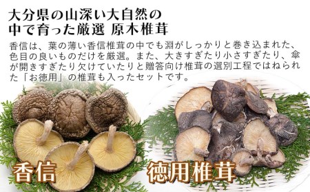 大分県産 原木椎茸2種食べ比べセットE(香信・椎茸) 乾燥椎茸 干し椎茸 乾し 原木椎茸 しいたけ シイタケ 大分県産 中津市 九州産野菜