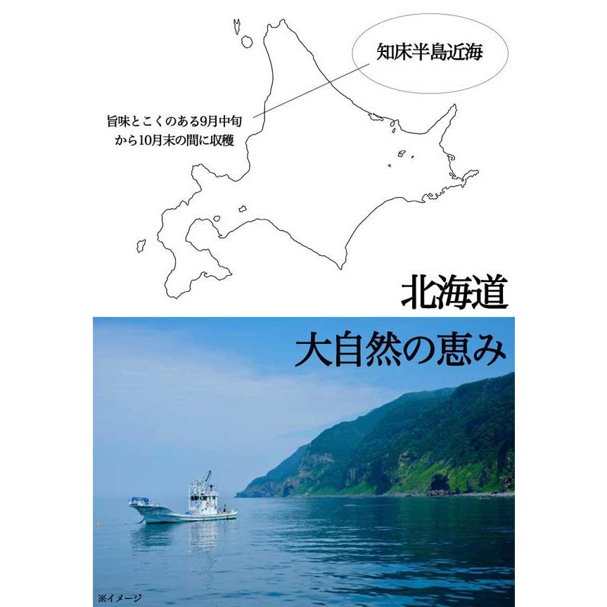 北海道 いくら醤油漬け 250g   鮭卵（北海道産）国産 海鮮 海産物 お歳暮 ギフト広場