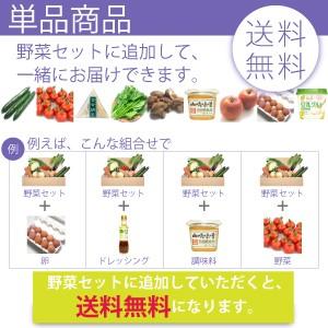 旬の野菜 野菜セット 無農薬 低農薬 こだわり サラダ野菜セット6品目　送料込 旬 ギフト 贈り物 プレゼント お取り寄せ お中元 お歳暮