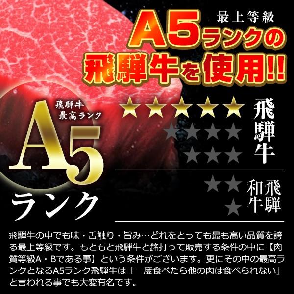 最上等級A5クラス 飛騨牛 プレミアム サラミ RED ベビー(105g) サラミ カルパス 唐辛子  (ポスト投函-1)