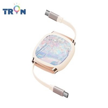 TRON 100W Type-C 伸縮快充線 1M 奶茶色 療癒系油畫 4檔長度調整 可充筆電 適用i15以上手機 平板