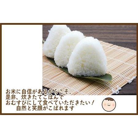 ふるさと納税 山間米 コシヒカリ 5kg×2袋(合計10kg) 唐津 七山 佐賀県唐津市